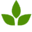Olivastu logo