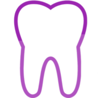 Bgortho logo