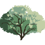 Sage Hill Law logo