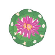 Cactus Kingdom logo