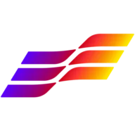 Digital Surfer logo