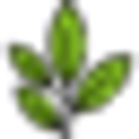 coinoto.net logo
