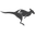 theroosport.com logo