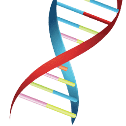 Life X DNA logo