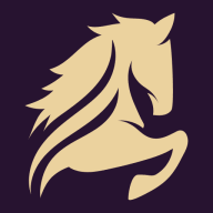 Newmarket Executive Travel logo