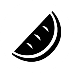 MELON OPTICS LIMITED logo