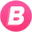 Brandnic.com logo