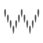 Willowhair logo