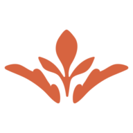 Meaa logo