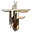 TRONFORM logo