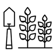 Patch logo
