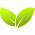 BerryHill Landscaping and Construction logo