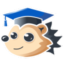 IB Doctor logo