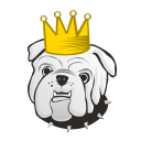 Storage King USA logo
