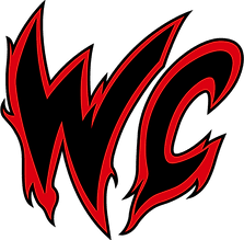 Wildcats Combat Ltd logo