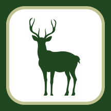 Chase & District Memorial Park logo