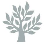 Timber Windows Southern Ltd logo