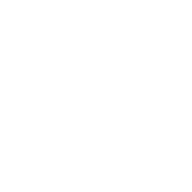 TOP DJ PRO logo