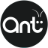 Ant Antics logo