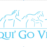 Equigovet logo