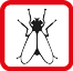 Insect Free ltd logo