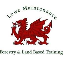 Lowe Maintenance logo