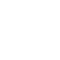 Petar Krastev - Coach PK logo