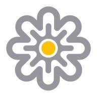 AccessPay logo