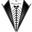Platinum Tailor logo
