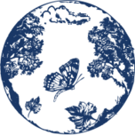 Cloudtwelve logo