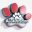 All 4 Petstore logo