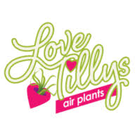 Love Tillys logo
