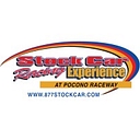 StockCar Racing Experience logo