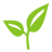 Green Bean Limited logo