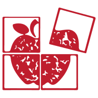 Play N Learn logo