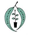 Bungalooknursery logo
