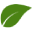 Garden Chic logo