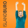 Island Web Design logo