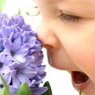 Blooming Oils logo