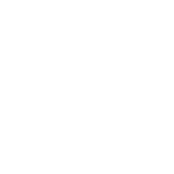 Underground Ecom logo