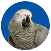 Parrot Supplies logo