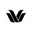 wacoal.ca logo