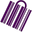 Barcodestore.co.uk logo