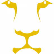 Lemon Lion Consulting logo