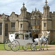 The Ostler Horse and Carriage Hire logo
