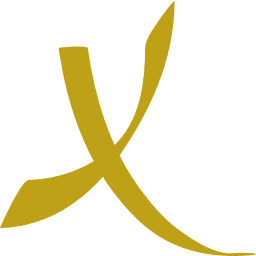Xentair International Ltd logo