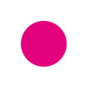 Niche Financial Solutions logo