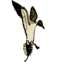 Simmons Sporting Goods logo