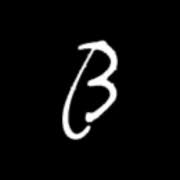 Bella Marie Training Academy Ltd logo