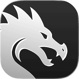 Zilver logo
